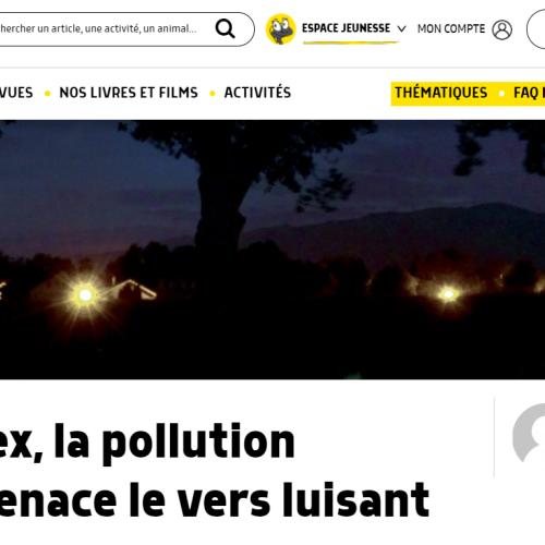 Capture d'écran 2024-07-13 194253
