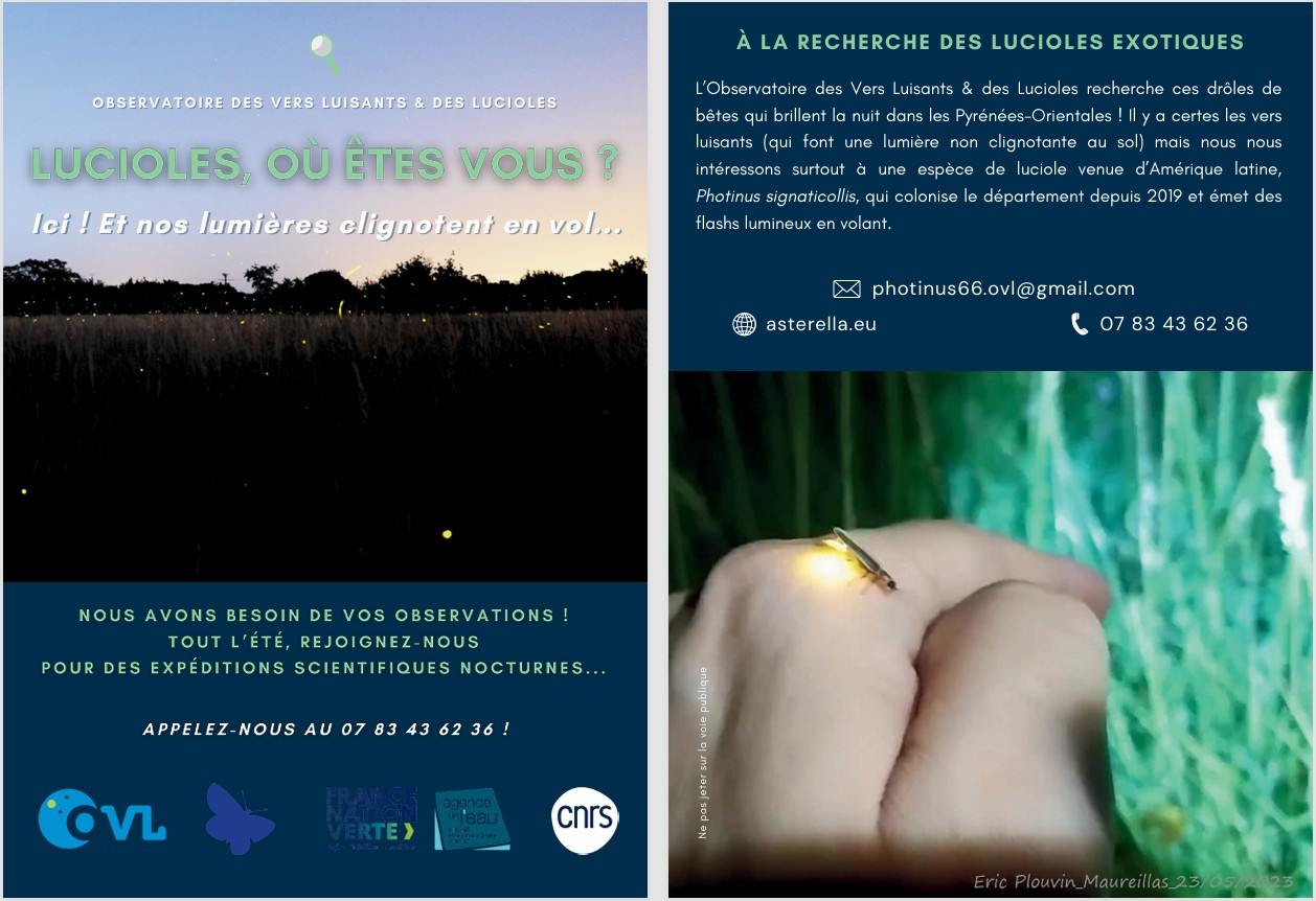 Flyer_16_05_25